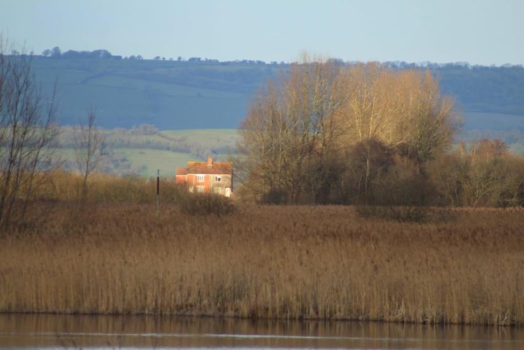 No 96 Chapel Lane - Self Contained Cottage In The Heart Of Butleigh エクステリア 写真